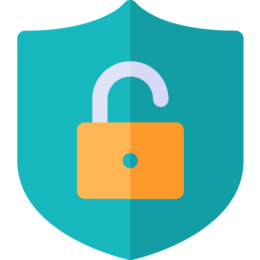La seguridad cibernetica